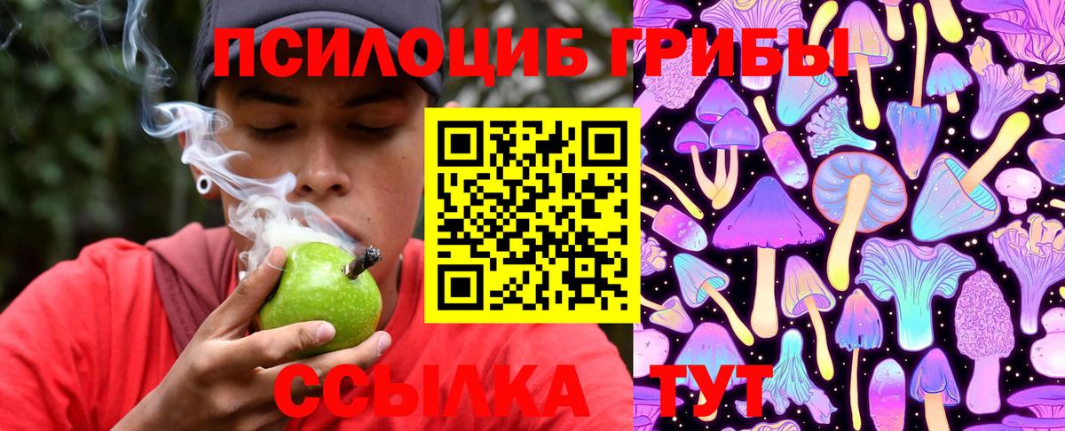 даркнет сайт  Галлюциногенные грибы Cubensis  Галлюциногенные грибы Cubensis  Вход с VPN  Шадринск 